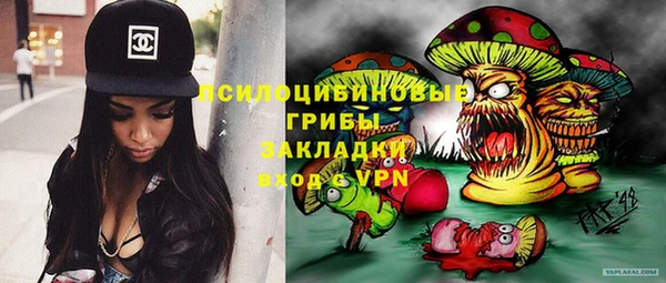 мяу мяу мука Елизово