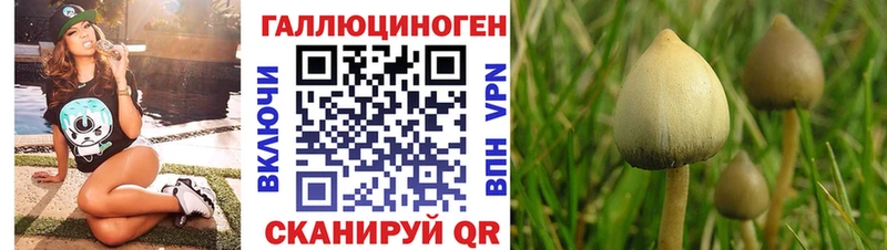 Купить  Устюжна  Галлюциногенные грибы мухоморы 
